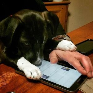 Meet your Posher, Jessica